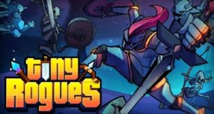 Tiny Rogues highly compressed